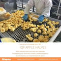 IQF Apple Slices,IQF Apple Segments,IQF Apple Halves,Frozen Apples Slices,peeled