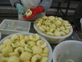 IQF Apple Slices,IQF Apple Segments,IQF Apple Halves,Frozen Apples Slices,peeled