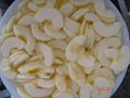 IQF Apple Slices,IQF Apple Segments,IQF Apple Halves,Frozen Apples Slices,peeled 13