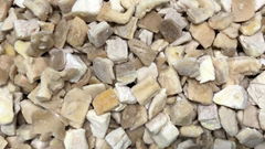 IQF Pleurotus Cubes,Frozen Pleurotus Strips,IQF Oyster Mushroom Slices