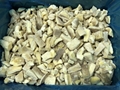 IQF Pleurotus Cubes,Frozen Pleurotus Strips,IQF Oyster Mushroom Slices