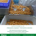 IQF Sweet Potato Slices,Frozen Sweet Potato Slices,blanched/steamed