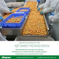 IQF Sweet Potato Slices,Frozen Sweet Potato Slices,blanched/steamed