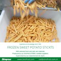 IQF Sweet Potato Slices,Frozen Sweet Potato Slices,blanched/steamed