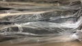 Frozen Gutted Eel,fillet/cuts/slices/WR,headon/headless,BULK/IVP 7