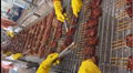 Frozen Seasoned Roasted Eel Skewers(2/3/4),Frozen BBQ Eel Skewers,Unagi Kabayaki 19