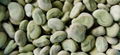 IQF Broad Beans,Frozen Broad Beans,IQF Fava Bean,Frozen Fava Beans,wholes/halves 8