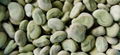 IQF Broad Beans,Frozen Broad Beans,IQF Fava Bean,Frozen Fava Beans,wholes/halves