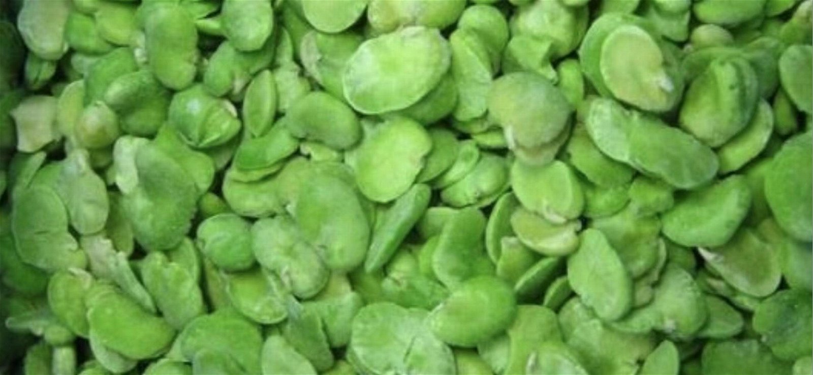 IQF Broad Beans,Frozen Broad Beans,IQF Fava Bean,Frozen Fava Beans,wholes/halves 2