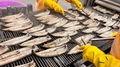 Frozen Seasoned Broiled Eel Slices, Unagi Sushi Slices,BBQ Eel,Grilled Eel 18