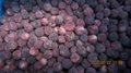 IQF Bayberry,Frozen Bayberries,IQF Waxberry,IQF Arbutus 19