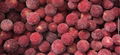 IQF Bayberry,Frozen Bayberries,IQF Waxberry,IQF Arbutus 1