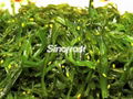  Frozen Seasoned Seaweed Salad,Frozen Seasoned Wakame Salad, Hiyashi Wakame 4