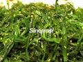  Frozen Seasoned Seaweed Salad,Frozen Seasoned Wakame Salad, Hiyashi Chuka Wakame