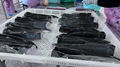 Frozen Gutted Eel,fillet/cuts/slices/WR,headon/headless,BULK/IVP