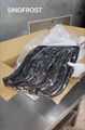 Frozen Gutted Eel,fillet/cuts/slices/WR,headon/headless,BULK/IVP