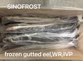 Frozen Gutted Eel,fillet/cuts/slices/WR,headon/headless,BULK/IVP 20