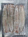 Frozen Gutted Eel,fillet/cuts/slices/WR,headon/headless,BULK/IVP 2