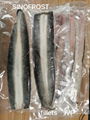 Frozen Gutted Eel,fillet/cuts/slices/WR,headon/headless,BULK/IVP 6
