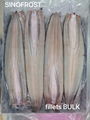 Frozen Gutted Eel,fillet/cuts/slices/WR,headon/headless,BULK/IVP 8