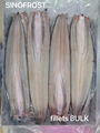 Frozen Gutted Eel,fillet/cuts/slices/WR,headon/headless,BULK/IVP