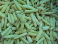 IQF yellow beans wholes/cuts,Frozen yellow beans 7