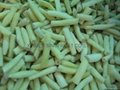 IQF yellow beans wholes/cuts,Frozen yellow beans