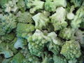 IQF Romanesco Florets,Frozen Romanesco Florets 11