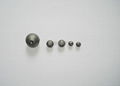 stainless steel ball (Special)
