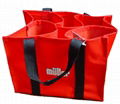 6-bottle bag(W-30)