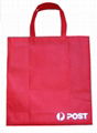 non-woven bag(W-34)