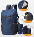 Hiking backpack