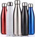 Cola Style Stainless Chilly Steel Vacuum Bottle