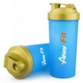 Shaker water bottle with storage