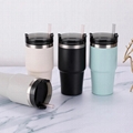 Insulated Water Bottle with Straw Stainless Steel Metal Vacuum Water Flask
