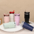 Insulated Water Bottle with Straw Stainless Steel Metal Vacuum Water Flask