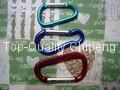 Round,Bar,Flat Carabiner