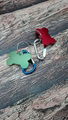 Carabiner to bone tag keychain1608023