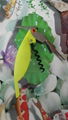 The parrot modelling wine bottle opener 1614014