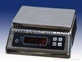 waterproof electronic weighing scale 