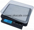 Electronic Pocket Scale