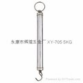Stainless Steel Hanging Scale