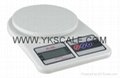 ELECTRONIC KITCHEN  SCALE