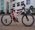 electric  bike