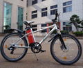 electric  bike