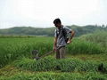 環保節能型便攜式電動牧草收割機 2