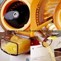 Slow Juicer with DIY Mask Function 3