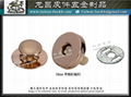 Taiwan 18mm full cover pattern magnetic button