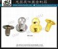 Belt Hardware Metal  Copper Screw  Buckle