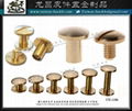 Taiwan CNC brass Metal screw buckle 7